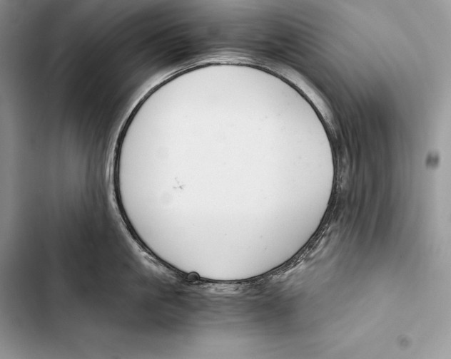 X0000103500861200810031627