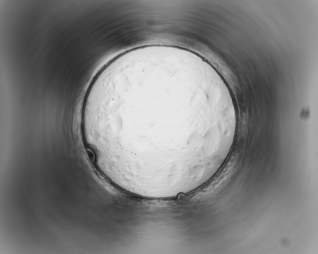 X0000103500862200810031627