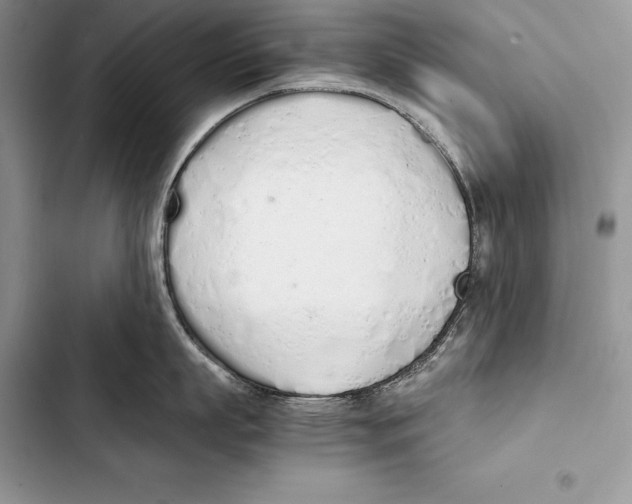 X0000103500863200810031627