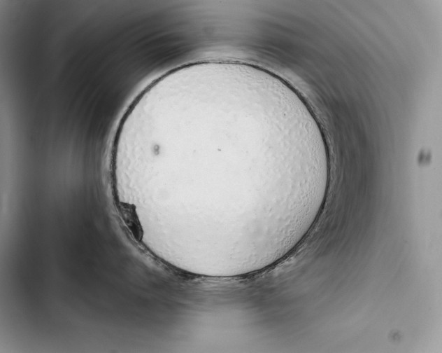 X0000103500864200810031627