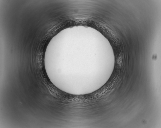 X0000103500868200810031626