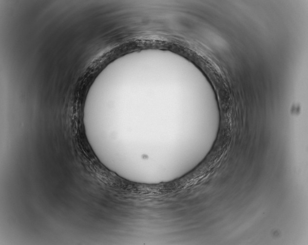 X0000103500870200810031626