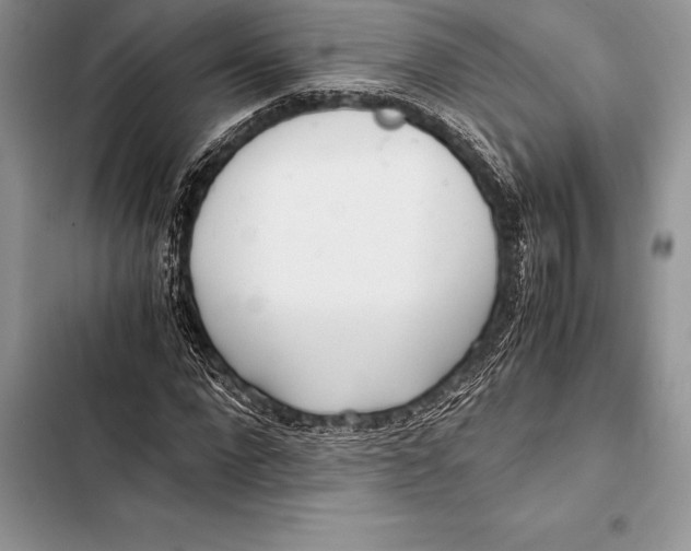 X0000103500872200810031626