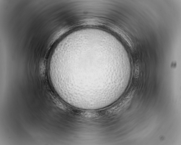 X0000103500874200810031626