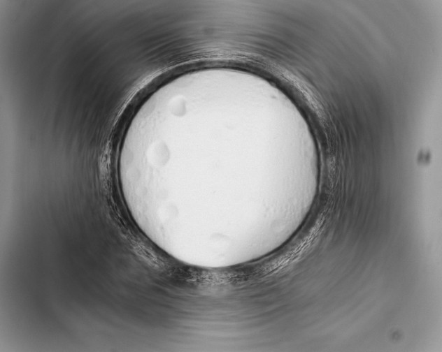 X0000103500875200810031626