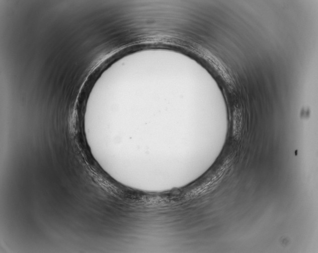 X0000103500876200810031626