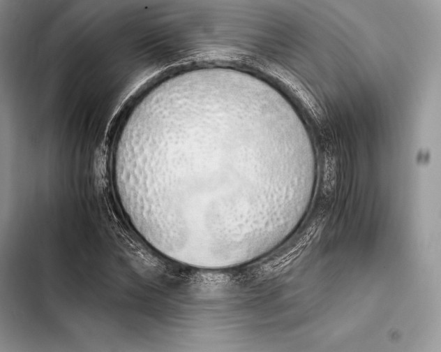 X0000103500878200810031626