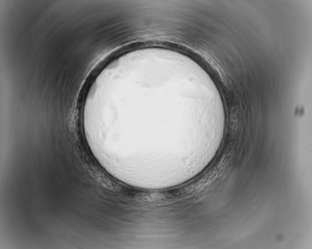 X0000103500879200810031626