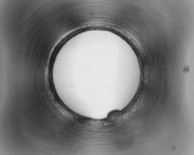 X0000103500880200810031626