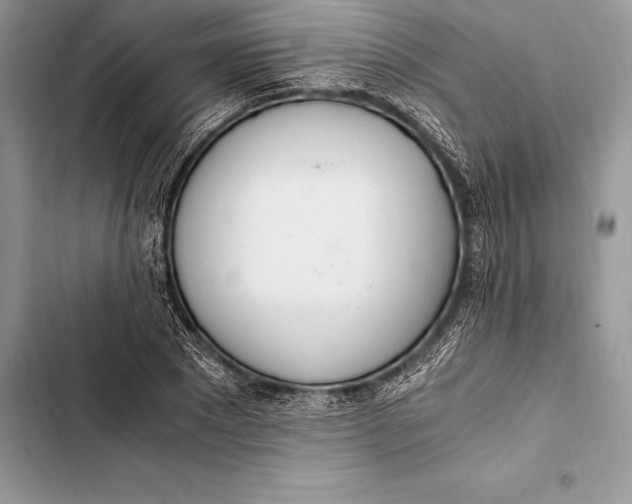 X0000103500881200810031626