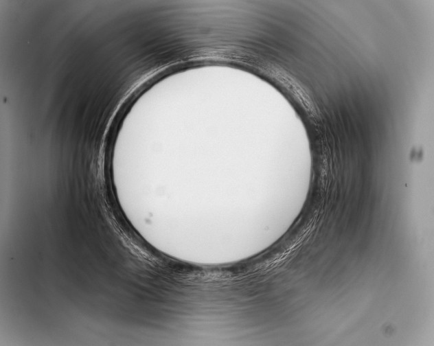 X0000103500884200810031626