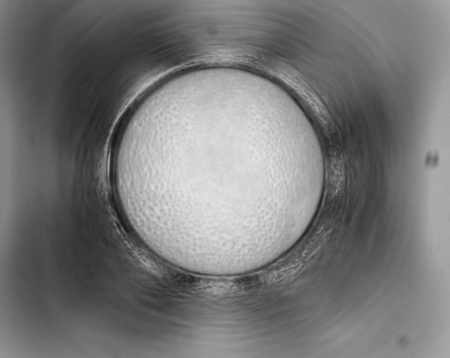 X0000103500886200810031626