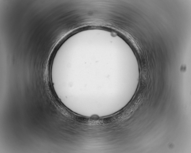 X0000103500887200810031626