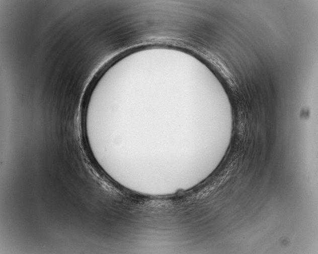 X0000103500888200810031625