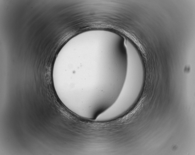 X0000103500889200810031625