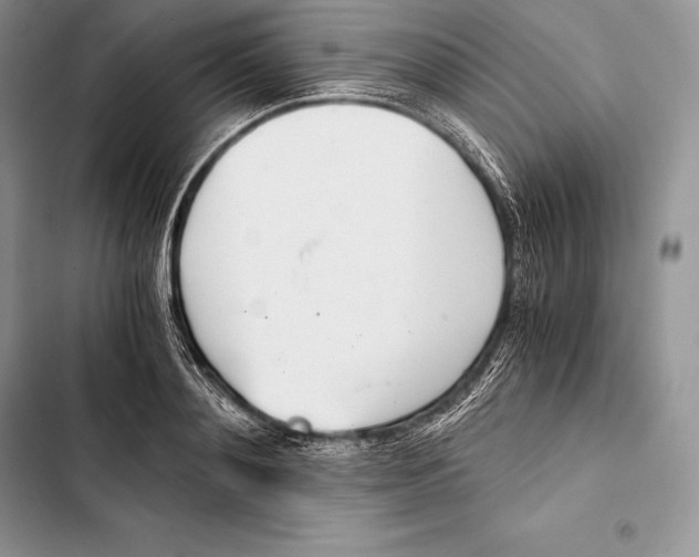 X0000103500892200810031625