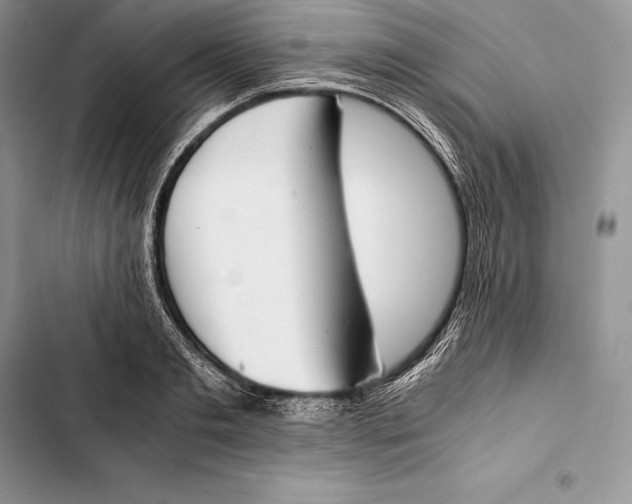 X0000103500893200810031625