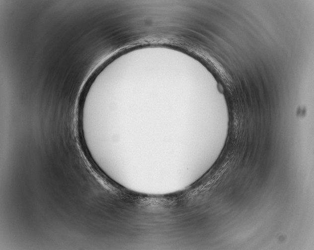 X0000103500894200810031625