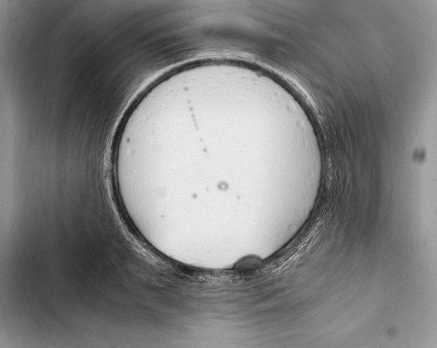 X0000103500895200810031625