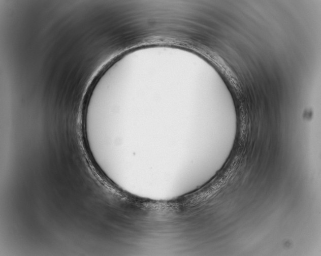 X0000103500896200810031625