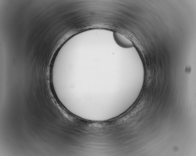 X0000103500898200810031625