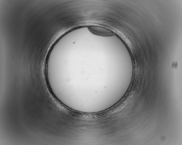 X0000103500901200810031625