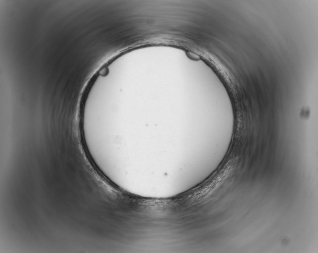 X0000103500902200810031625