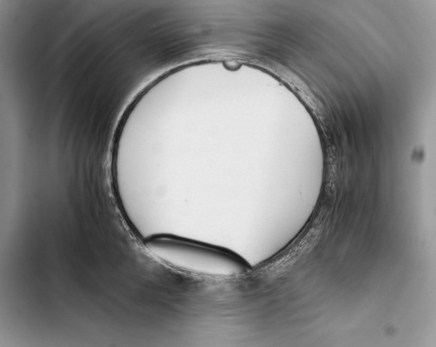 X0000103500904200810031625