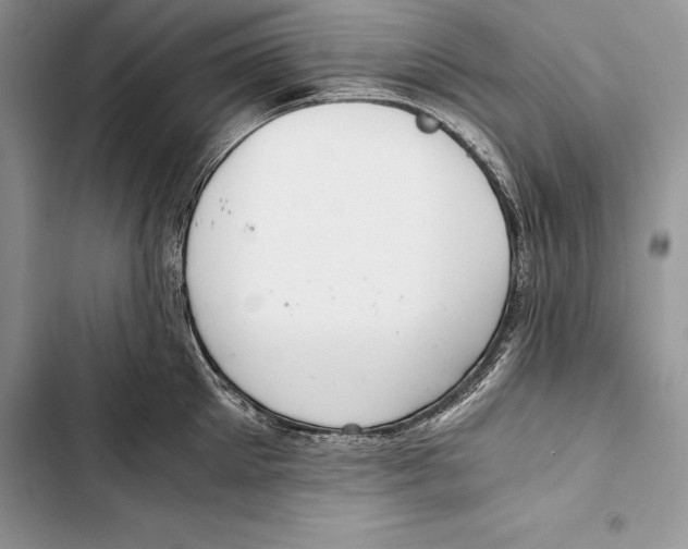 X0000103500905200810031625