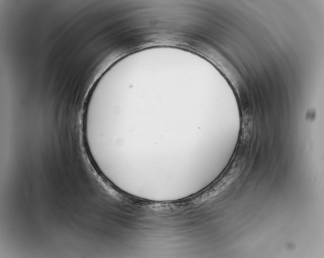 X0000103500906200810031625