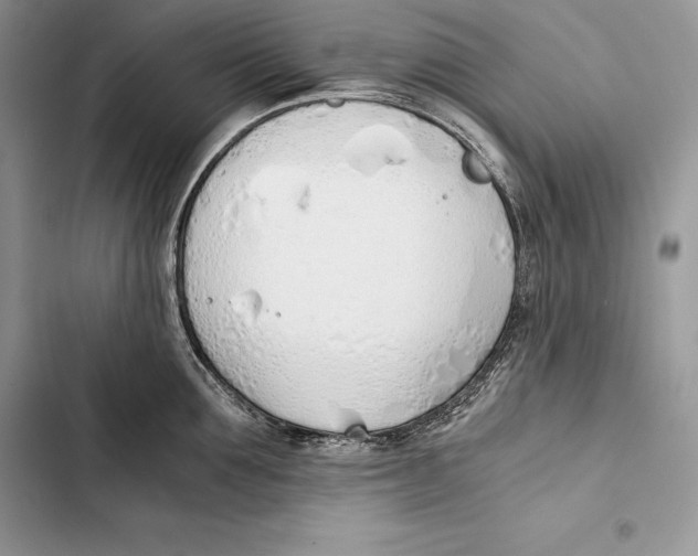 X0000103500907200810031625