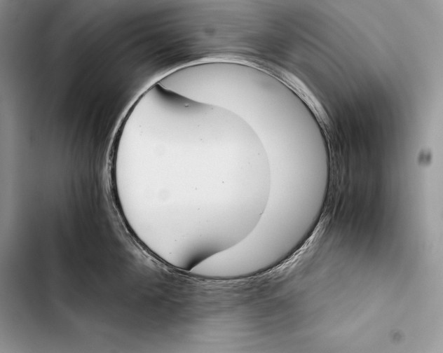 X0000103500908200810031625