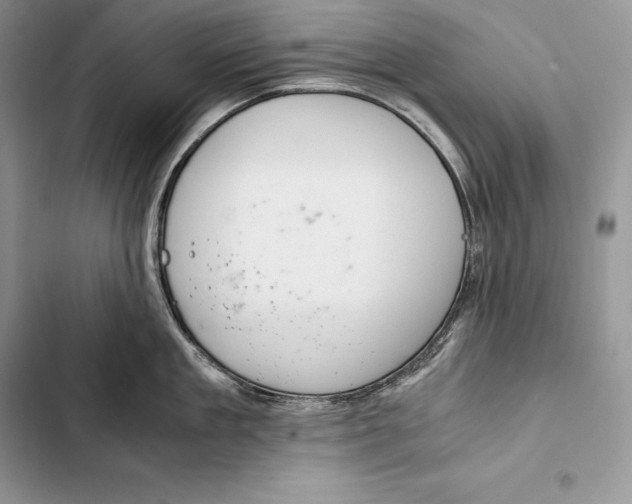 X0000103500909200810031625