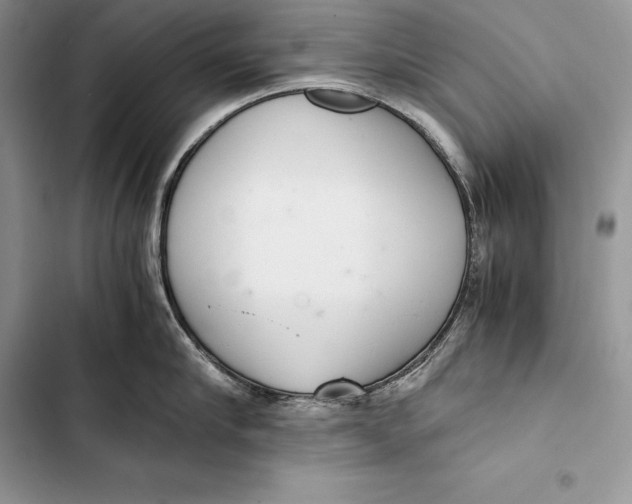 X0000103500910200810031625