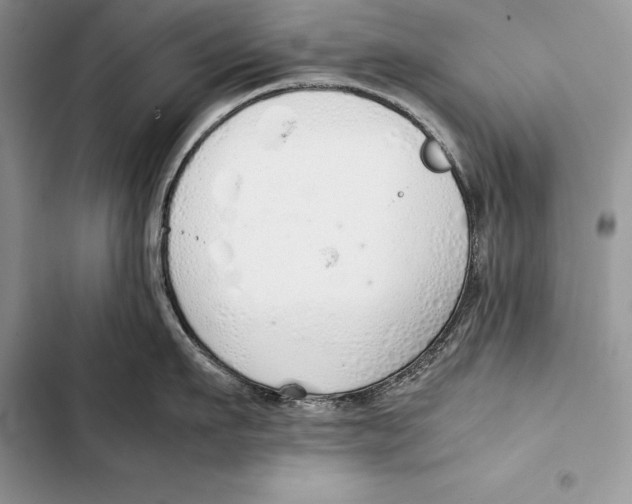 X0000103500911200810031625