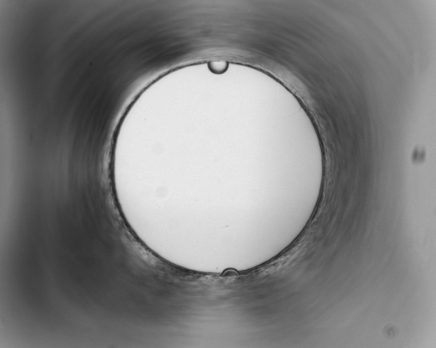 X0000103500912200810031625