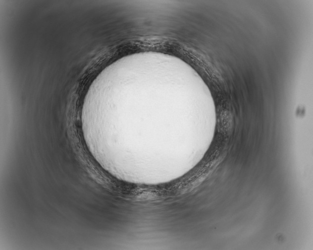 X0000103500913200810031624