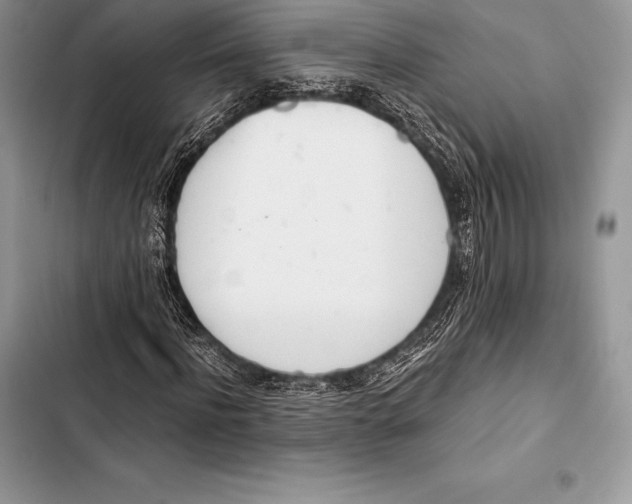 X0000103500916200810031625