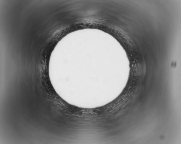 X0000103500918200810031625