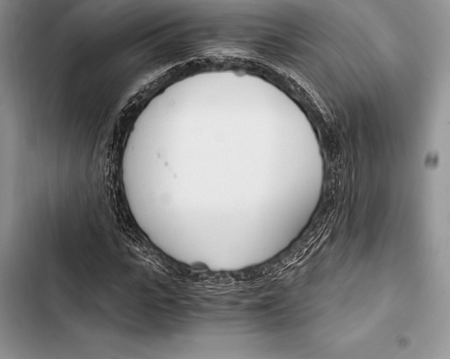 X0000103500919200810031625