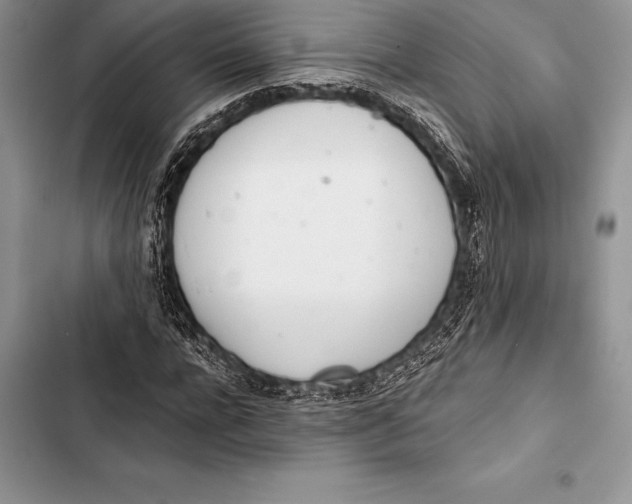 X0000103500920200810031625