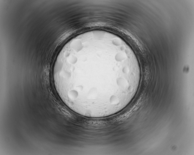 X0000103500921200810031625