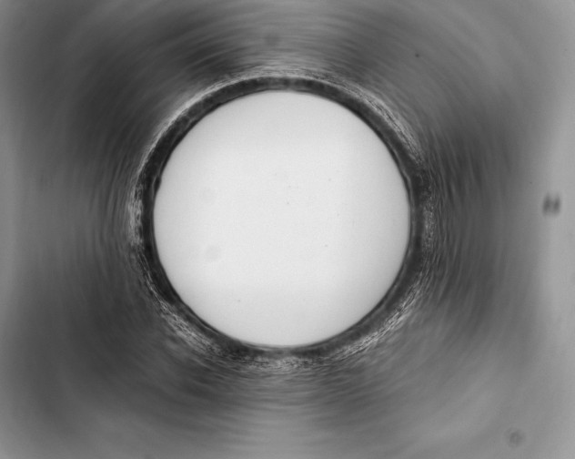 X0000103500926200810031625