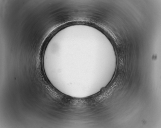 X0000103500927200810031625