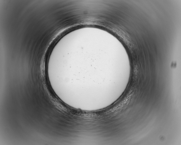 X0000103500934200810031625