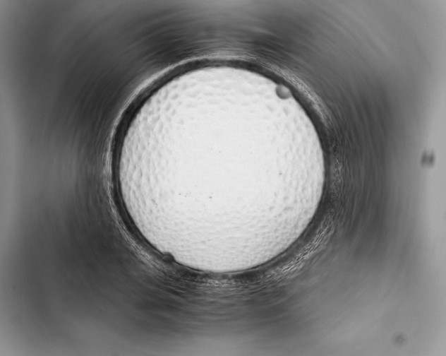 X0000103500935200810031625