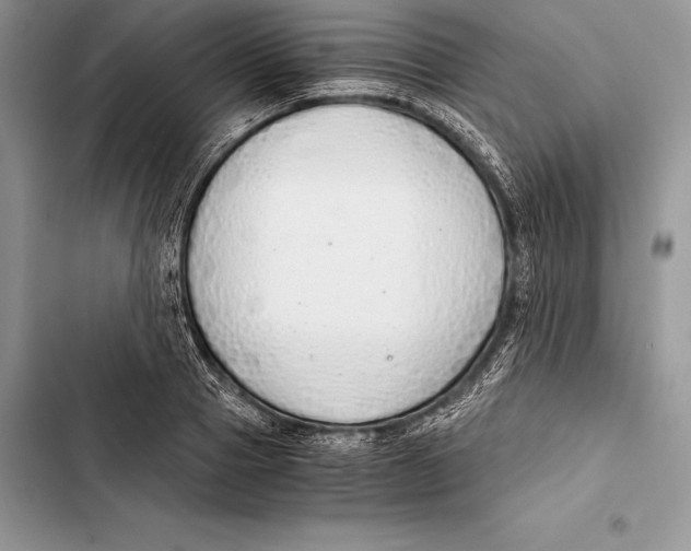 X0000103500937200810031625