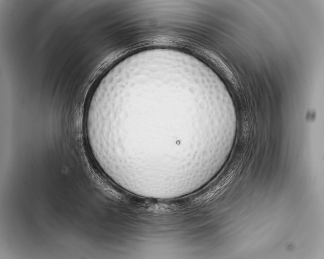 X0000103500938200810031625