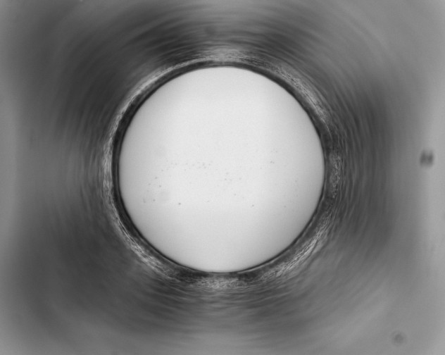 X0000103500939200810031625