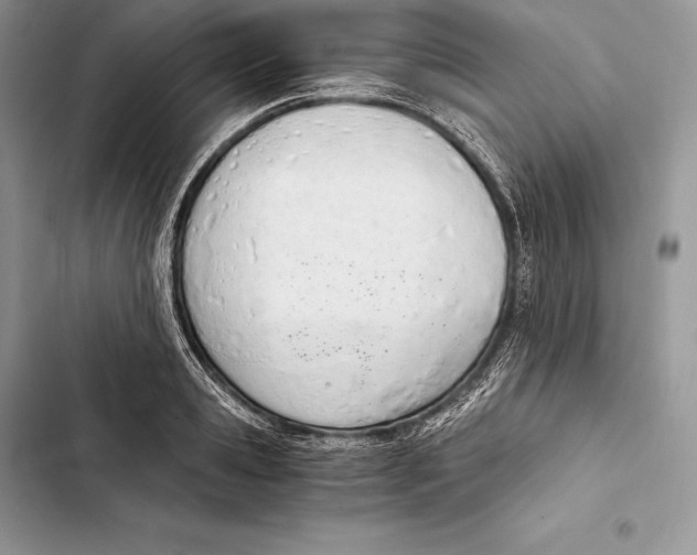 X0000103500941200810031625